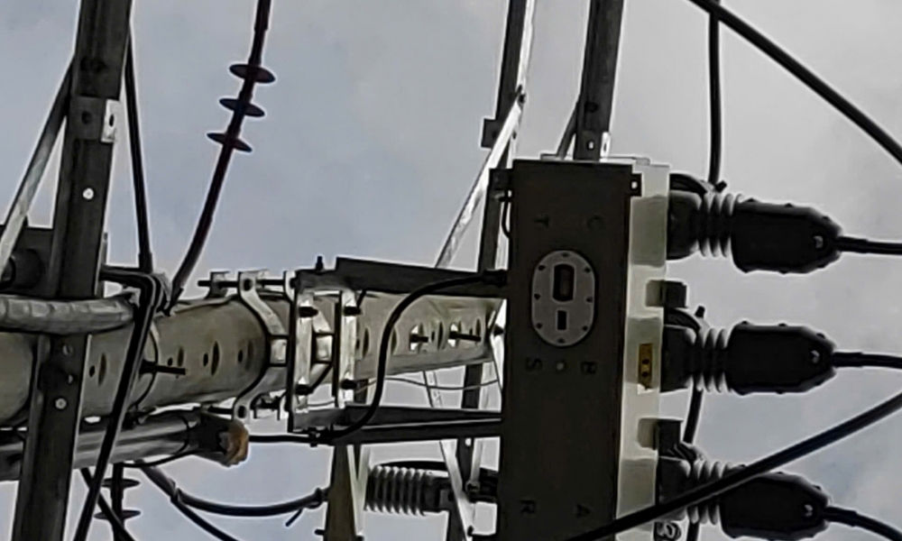 z6158558622495_9777bc89b0c3c3f55993471c74e41ea2